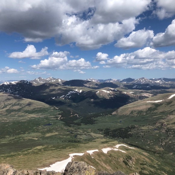 Meet your Posher, Evelyn - Picture 2 of 4